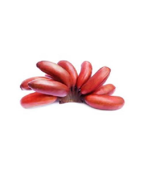 Sevalai Banana Red (Sevvalai) - 900g to 1 1 kg | MyIndia.Sg